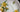 Daffodil Teacup | Made in England | Royal Vale 18749 - The Vintage TeacupVintage Teacups