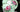 Paragon, Minty Green, Pink Cabbage Rose, Teacup & Saucer 18112 - The Vintage TeacupTeacups