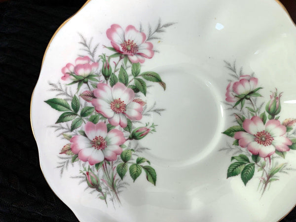 Royal Albert Orphan Saucer, Friendship / Wild Rose Made in England. No Teacup Plate Only -E - The Vintage TeacupSaucer