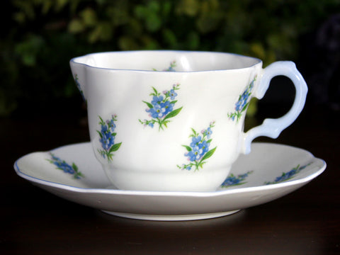 Rosina Teacup and Saucer, Forget Me Not Floral Tea Cup, Made in England -K24