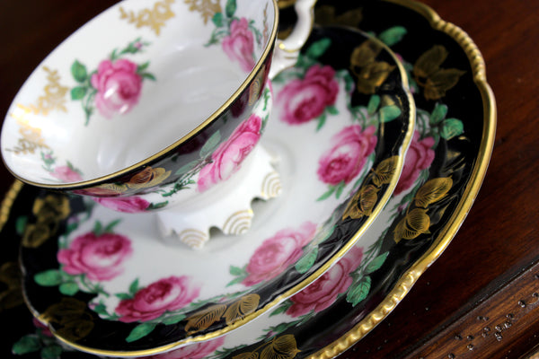 Mitterteich Trio, Footed Teacup & Saucer, Roses, Bavaria Germany 18431