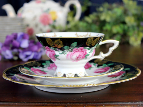 Mitterteich Trio, Footed Teacup & Saucer, Roses, Bavaria Germany 18431