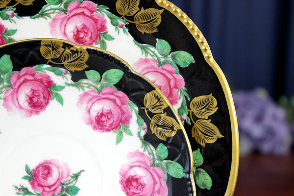 Mitterteich Trio, Footed Teacup & Saucer, Roses, Bavaria Germany 18431