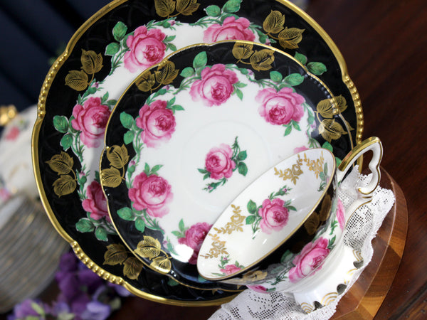 Mitterteich Trio, Footed Teacup & Saucer, Roses, Bavaria Germany 18431