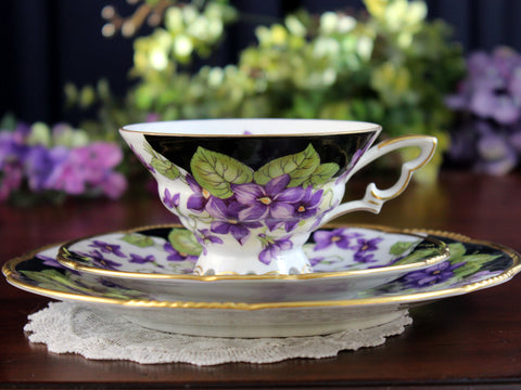 Mitterteich Trio, Footed Teacup & Saucer, Violets Bavaria Germany 18455