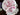 Coalport Cairo, Teacup and Saucer, Pink Bird of Paradise Tea Cup 18644 - The Vintage TeacupTeacups