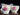 Creamer and Sugar Bowl, Royal Standard Festival Rose 18630 - The Vintage TeacupAccessories