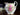 Creamer and Sugar Bowl, Royal Standard Festival Rose 18630 - The Vintage TeacupAccessories