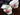 Creamer and Sugar Bowl, Royal Standard Festival Rose 18630 - The Vintage TeacupAccessories