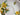 Daffodil Teacup | Made in England | Royal Vale 18749 - The Vintage TeacupVintage Teacups