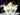 Hammersley Lidded Sugar Bowl, English Bone China 14858 - The Vintage TeacupAccessories