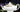 Mason's Friarswood, Ironstone Teapot, Large Square Tea Pot 17905 - The Vintage TeacupTeapots