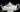 Mason's Friarswood, Ironstone Teapot, Large Square Tea Pot 17905 - The Vintage TeacupTeapots