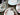 4 Dinner Plates, 8 Side Plates - Assorted Makers J-18797