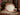 Black Magic Bone China Teacup, Tea Cup & Saucer, Queen Anne 17484
