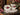 Sadler Creamer & Sugar, English Bone China, Red & White Roses 15975