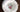 Imperial Tea Cup & Saucer, Dainty Pink Banding, Floral Centers 18419 - The Vintage TeacupTeacups