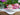 Mitterteich, Pictorial Teacup, Saucer, Bavaria 18497 - The Vintage TeacupTeacups