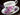 Regency Pink Dogwood Roses | Tea Cup & Saucer 18548 - The Vintage TeacupTeacups