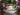 Royal Albert Alberta Rose | Tea Cup & Saucer | Provincial Flowers 18564 - The Vintage TeacupTeacups