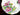 Royal Albert Cup & Saucer, Water Lily, England 18500 - The Vintage TeacupTeacups