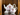 Royal Albert Pink Teapot | 4 Cup | New Country Roses Discontinued 18674 - The Vintage TeacupTeapots