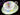 Royal Standard Teacup | Hand Painted Cup & Saucer 18681 - The Vintage TeacupTeacups