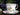 Royal Winchester Tea Cup | Vintage Teacup & Saucer | Bone China 18566 - The Vintage TeacupTeacups