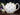 Sadler Chintz Teapot | Ditsy Rose, 4 Cup | Transferware Tea Pot 18565 - The Vintage TeacupTeapots