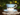 Teal Paragon Trenton | Teacup and Saucer | English Bone China 18545 - The Vintage TeacupTeacups