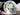 Vintage Teacup and Saucer | Roy Kirkham | English Bone China 18507 - The Vintage TeacupTeacups
