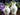 2 Small Studio Pottery Hand Painted Stoneware Vases, Zair Thornbury Pottery 17911 - The Vintage TeacupTeacups