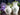 2 Small Studio Pottery Hand Painted Stoneware Vases, Zair Thornbury Pottery 17911 - The Vintage TeacupTeacups