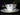 Antique Paragon Trio, Cup Saucer & Side Plate, Blue Daisy English China - K - The Vintage TeacupTeacups