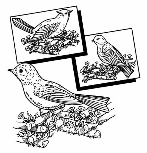 Aunt Martha's 3534, Birds Galore, Transfer Patterns, Hot Iron Transfers, Bird Motif Patterns, Embroidery and Crafts - The Vintage TeacupHot Iron Transfers