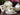 DEMITASSE EB Foley Cups & Saucers, 5 Sets, Vintage Bone China 16771 - The Vintage TeacupTeacups
