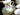 Japanese Tea Set, Nippon, Hand Painted, 5 Cups & Saucers 18241 - The Vintage TeacupTeacups
