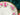 Rosina Pink Roses Bone China Orphan Saucer - No Teacup Plate Only - B - The Vintage Teacup