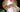 Royal Albert, Portrait Series, Pink Tea Cup and Saucer 17904 - The Vintage TeacupTeacups