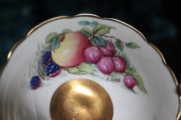 Royal Stafford Tea Cup & Saucer, "Harvest" Hand Painted Teacup -J - The Vintage TeacupTeacups