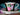 Royal Standard, Black Paneled Teacup, Stunning Chintz, Cup and Saucer 15811 - The Vintage TeacupTeacups