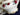 Sadler Vintage Teapot, 4 Cup, Sugar & Creamer, Elegant Porcelain Teaset 16223 - The Vintage TeacupTeapots