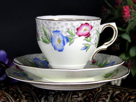 Salisbury Tea Cup Trio, "Convolvulus" Teacup, Saucer and 6" Side Plate, Made in England 18117 - The Vintage TeacupTeacups