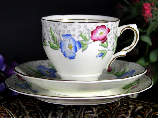 Salisbury Tea Cup Trio, "Convolvulus" Teacup, Saucer and 6" Side Plate, Made in England 18117 - The Vintage TeacupTeacups