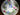 Salisbury Tea Cup Trio, "Convolvulus" Teacup, Saucer, Side Plate 18117 - The Vintage TeacupTeacups
