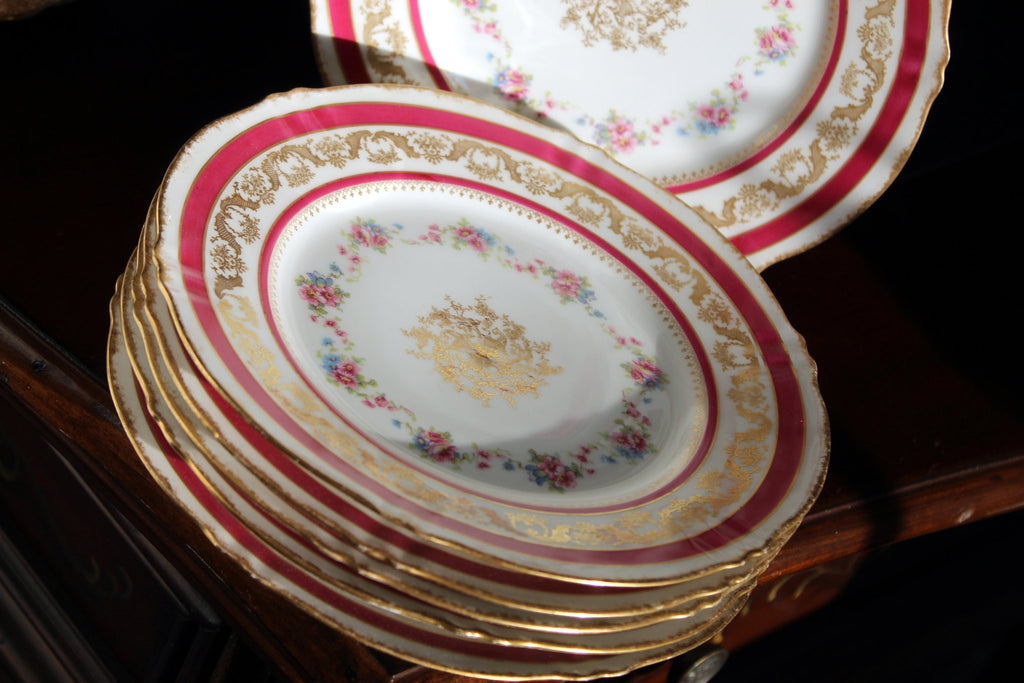 Set of 6 Limoges Dinner Plates, 9" Theodore Haviland Plates, Made in France -J - The Vintage TeacupAccessories