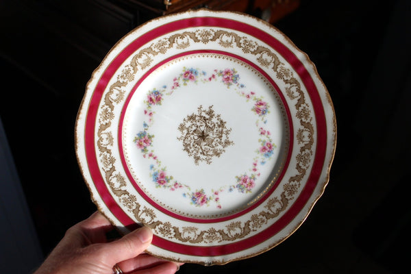 Set of 6 Limoges Dinner Plates, 9" Theodore Haviland Plates, Made in France - The Vintage Teacup