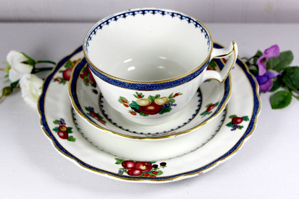Vintage Tea Cup, Plate & Saucer, Booths Lowestoft Border, Trio with Fruit Motif 14532 - The Vintage TeacupTeacups